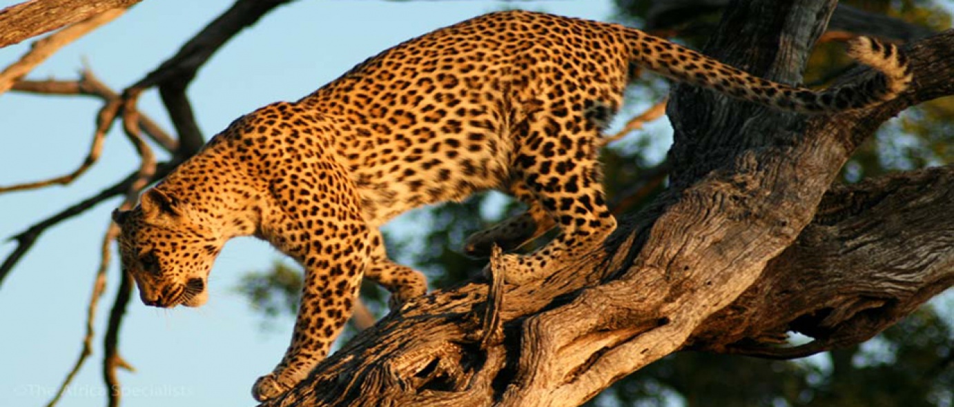 Selous/Nyerere National Park