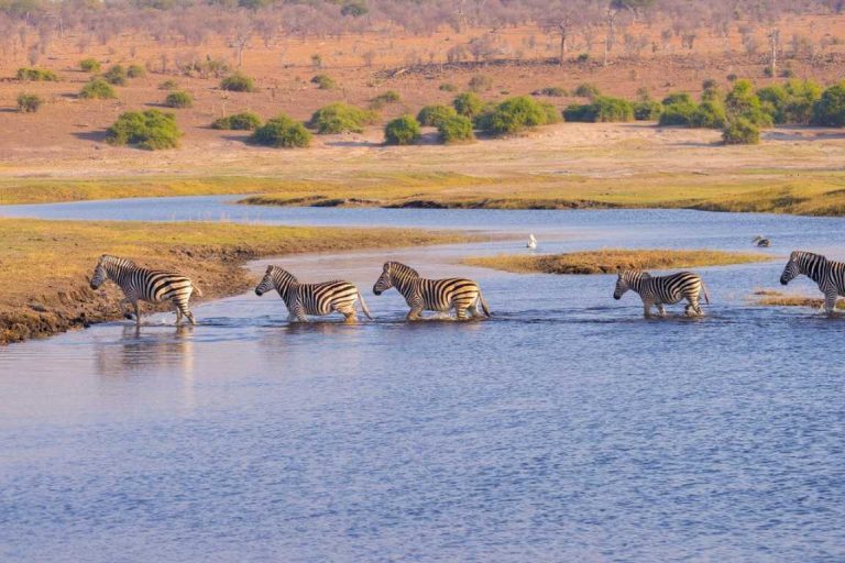 Cultural and Wildlife Safari – 8 Days